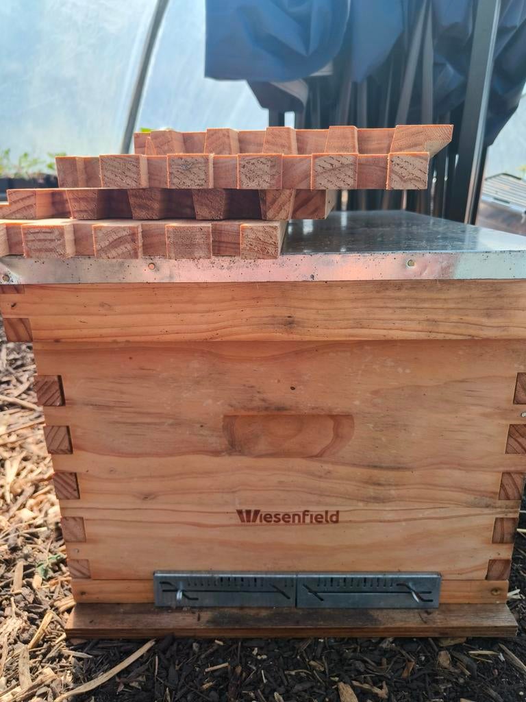 Bijenkast Wiesenfield met ramen, Hobby & Loisirs créatifs, Matériel scolaire, Enlèvement