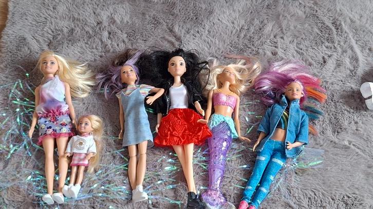 Grote Barbie set: 6 poppen + complete inboedel (keuken,...), Hobby en Vrije tijd, Feestartikelen, Ophalen