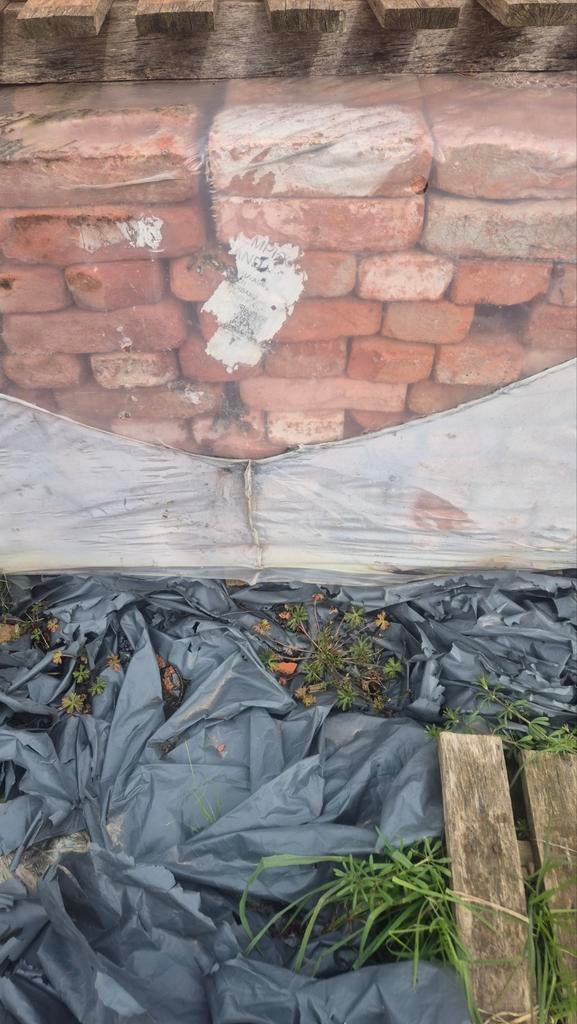 Rustica oud kempisch M50 1888848, Enlèvement