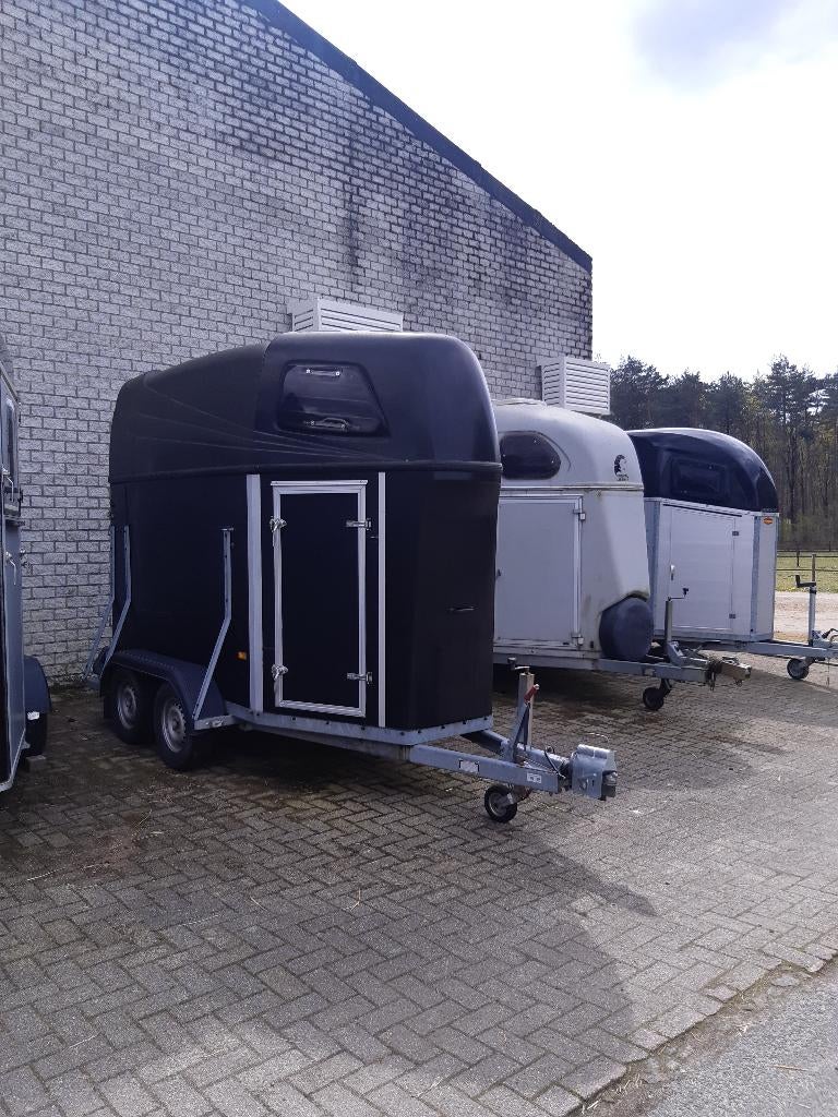 1,5 Paardentrailer te koop, Dieren en Toebehoren, Ophalen, Gebruikt, 1½-paards trailer