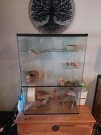 Girbil hok, Dieren en Toebehoren, Ophalen, Gebruikt, 60 tot 90 cm, Minder dan 75 cm