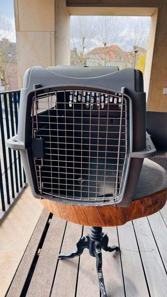Bench voor kleine hond of kat, Dieren en Toebehoren, Transportboxen, Gebruikt, Ophalen of Verzenden