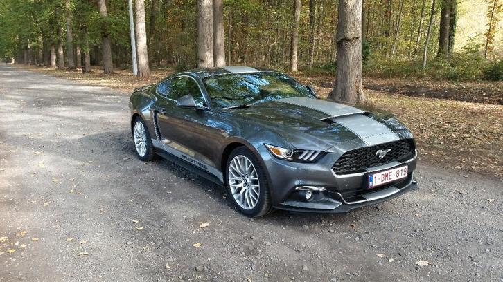 ford mustang fastback 2.3i ecoboost, Auto's, Ford, Particulier, Mustang, Benzine, 3 deurs, Handgeschakeld
