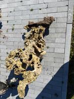 Decoratief wortelhout, Enlèvement, Utilisé, Bois, Autres types