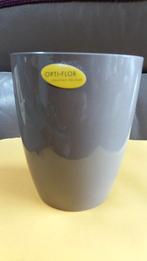 ORCHIDEE POTTEN, Enlèvement, Comme neuf, Intérieur