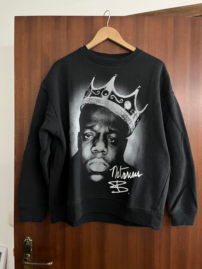 B.I.G trui, Kleding | Heren, Verzenden, Zo goed als nieuw, Maat 46 (S) of kleiner, Grijs