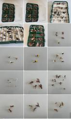 Doosje met 100 droge vliegen, Watersport en Boten, Ophalen of Verzenden