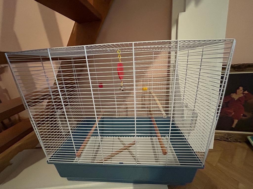Vogelkooi ongebruikt, compleet met badje & accessoires, Animaux & Accessoires, Oiseaux | Cages & Volières, Neuf, Cage à oiseaux