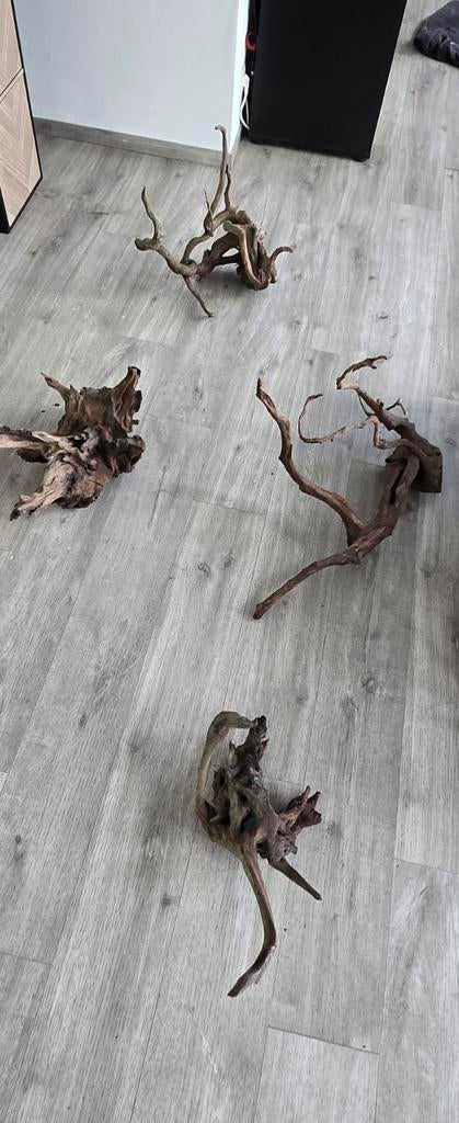 Verschilende stukken aquarium hout te koop, Dieren en Toebehoren, Vissen | Aquaria en Toebehoren, Ophalen