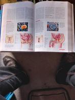 Larousse medisch boek, Games en Spelcomputers, Ophalen