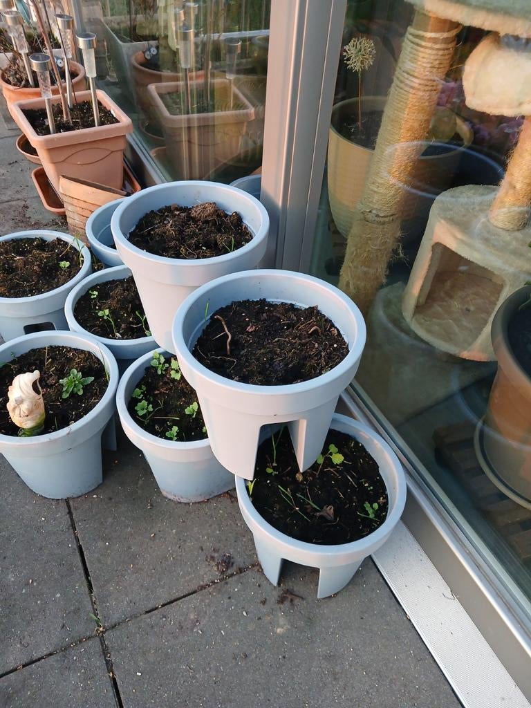 Lichtgrijze bloembakken voor op balustrade. 6 stuks. Lichtgr, Jardin & Terrasse, Enlèvement