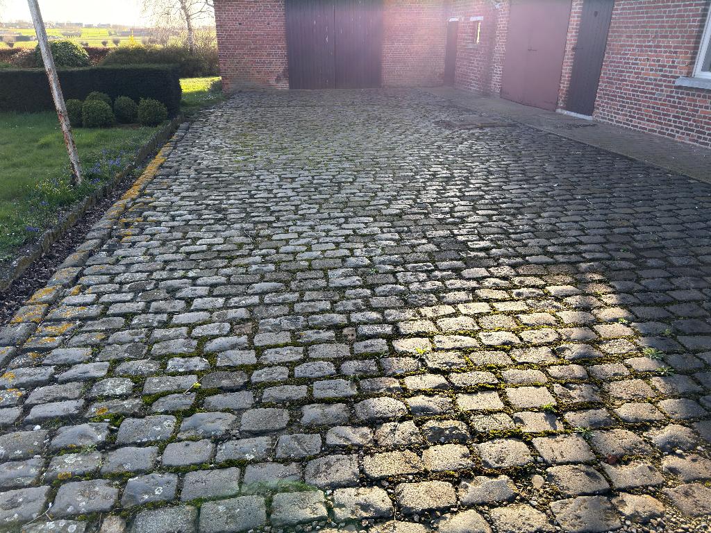 Grote partij kasseien (325 m²) – oude Belgische porfier, Ophalen, Gebruikt, Graniet, Kei