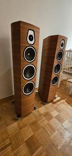 Sonus Faber Sonetto V, Audio, Tv en Foto, Ophalen, Zo goed als nieuw, Speakers, Overige merken