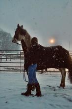 Zadelmak maken/door rijden horsemanship, Tickets en Kaartjes