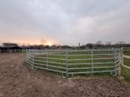 Weidegang paddock paradise Anzegem, Dieren en Toebehoren, Weidegang