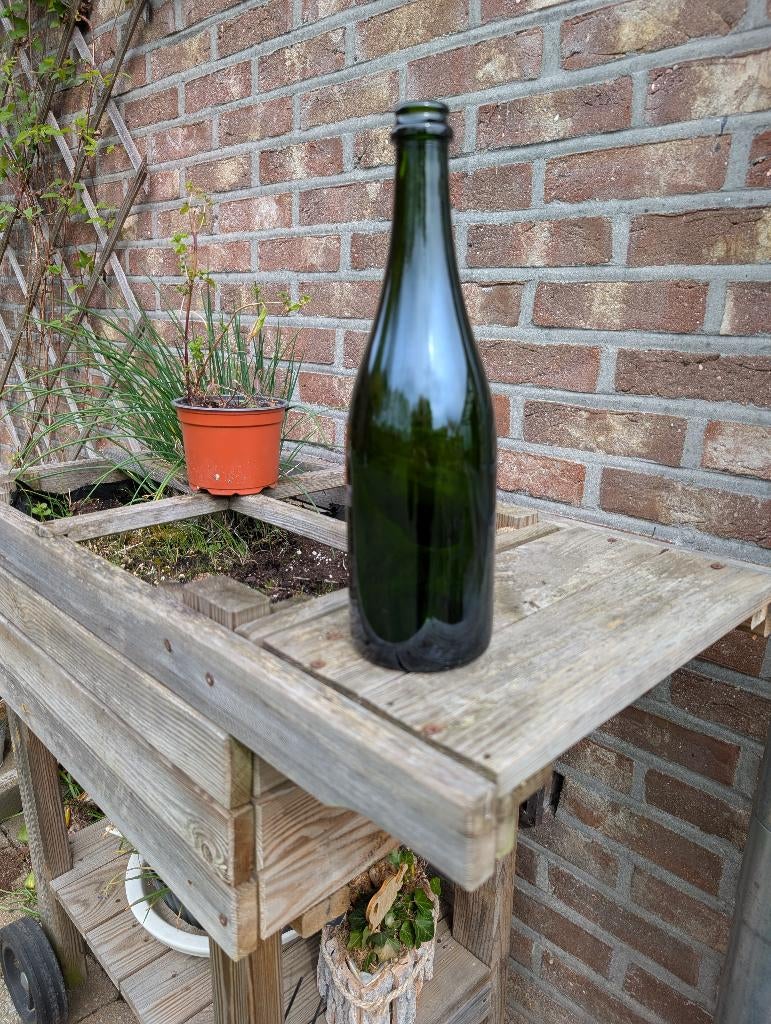 60 lege champagne flessen, Ophalen, Gebruikt, Champagne