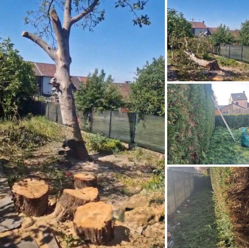 De la pelouse, l’arbre, Jardin & Terrasse, Enlèvement ou Envoi, Comme neuf