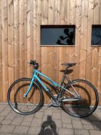 Koga miyata, Vélos & Vélomoteurs, Vélos | Femmes | Vélos de sport & de randonnée, 53 à 56 cm, Enlèvement, Utilisé, 28 pouces