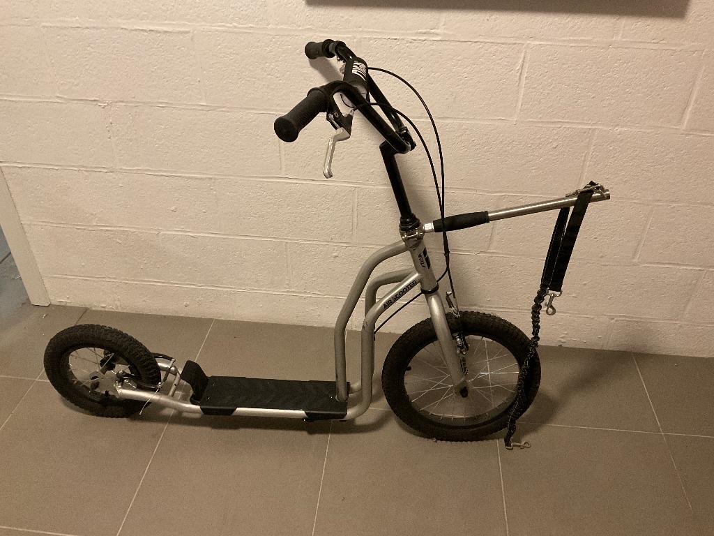Trottinette adulte STIGA Air Scooter  – avec barre traction, Sports & Fitness, Course, Jogging & Athlétisme, Autres marques, Enlèvement