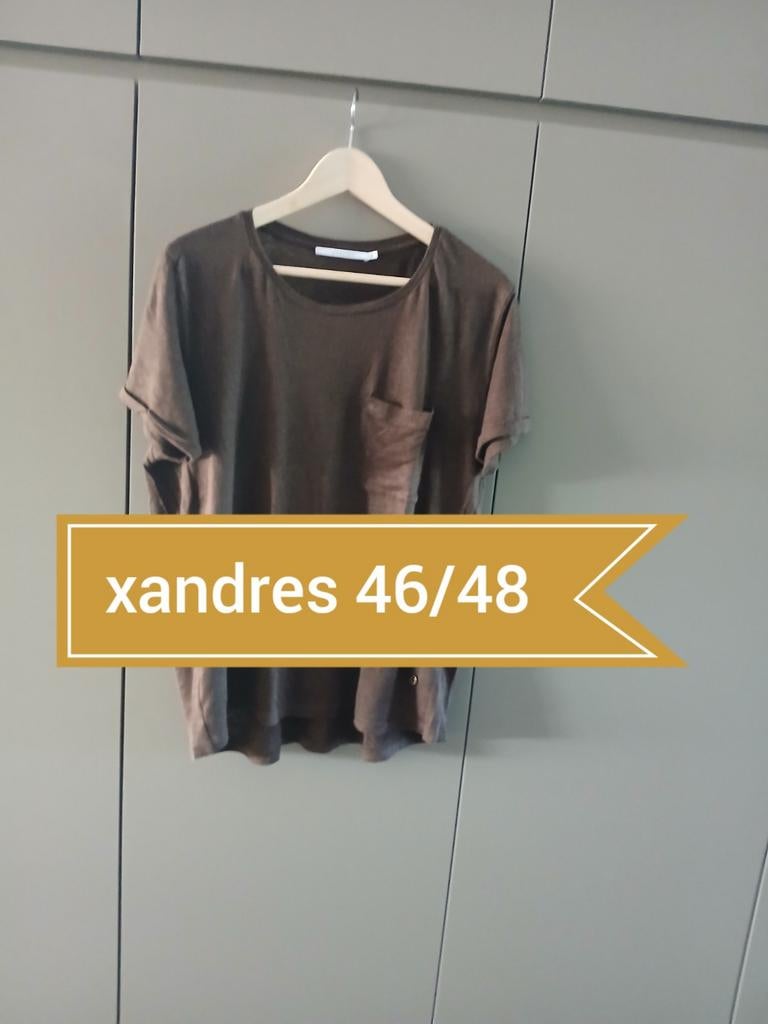 Blouze xandres 46/48, Kleding | Dames, Grote Maten, Bruin, Verzenden, Blouse of Tuniek, Gedragen