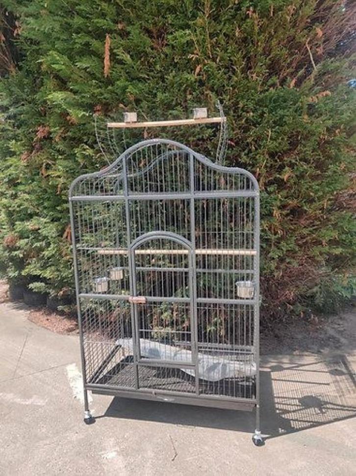 Galerita papegaaienkooi, Dieren en Toebehoren, Vogels | Hokken en Kooien, Nieuw, Vogelkooi, Ophalen of Verzenden