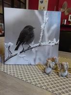 Tableau oiseau 40x40, Ophalen, Zo goed als nieuw, Minder dan 50 cm, Minder dan 50 cm