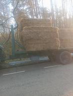 Droog hooi, Zakelijke goederen, Landbouw | Veevoer, Ophalen of Verzenden