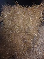 Hooi, Dieren en Toebehoren, Ophalen of Verzenden