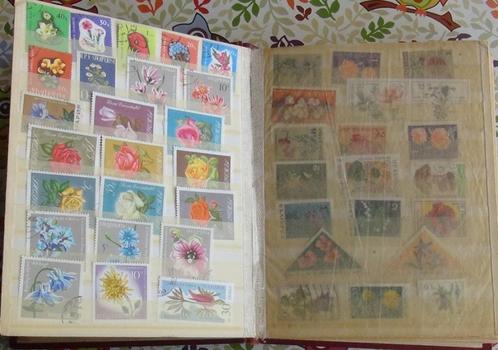 Postzegelalbum A5 (31) flora (bloemen, bomen, vrucht, Postzegels en Munten, Postzegels | Volle albums en Verzamelingen, Ophalen of Verzenden