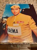 Oude foto's Eddy Merckx Faema, Verzamelen, Foto's en Prenten, Ophalen, 1960 tot 1980, Gebruikt, Foto