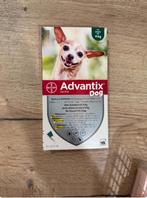 Advantix 4 ampullen <4kg, Ophalen of Verzenden, Nieuw