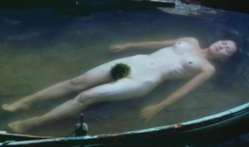 661) The Isle beschikbaar voor biedingen