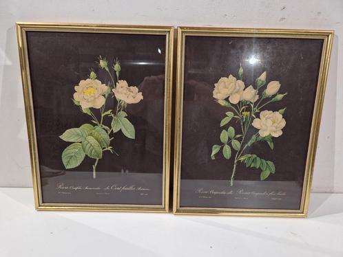 2 Pierre-Joseph Redouté print , in mooie  kader 44 x 32 cm, Huis en Inrichting, Woonaccessoires | Schilderijen, Tekeningen en Foto's
