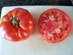 5 graines de tomate Rouge de Namur - BIO, Jardin & Terrasse, Graine, Printemps, Envoi