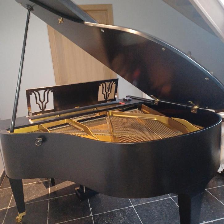 Vleugelpiano, Musique & Instruments, Pianos, Utilisé, À queue, Noir, Brillant, Enlèvement ou Envoi