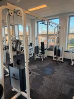 Life Fitness Pro adjustable cable crossover 2x 86 kg, Enlèvement, Utilisé, Bras, Autres types