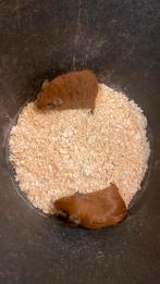 Cavias, Dieren en Toebehoren, Knaagdieren, November, Mannelijk, Cavia