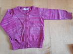 Roze trui in perfecte staat maat 80 van Noppies, Kinderen en Baby's, Babykleding | Maat 80, Ophalen of Verzenden, Zo goed als nieuw