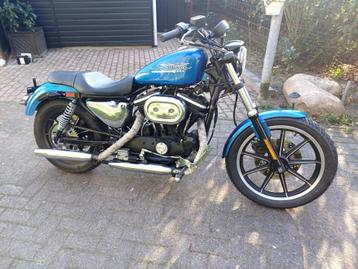 Mooie 🏁 Harley Davidson 🏁, Motoren, 2 cilinders, Chopper, 883 cc, 12 t/m 35 kW