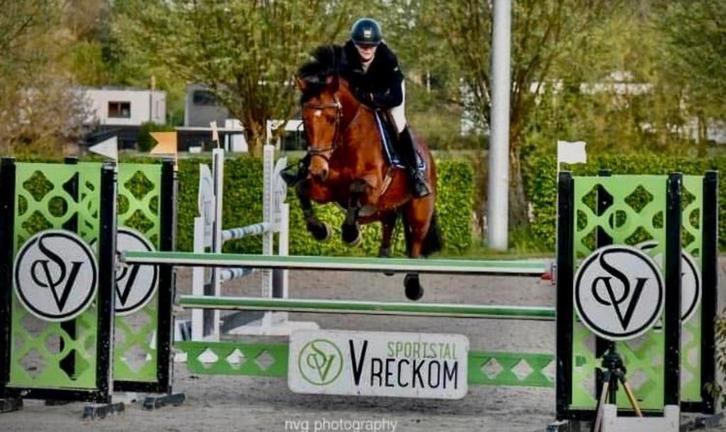 Springpaard te lease, Dieren en Toebehoren, Stalling en Weidegang