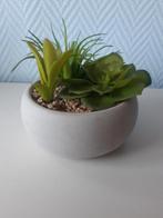 Leuk kunststof plantje, Ophalen