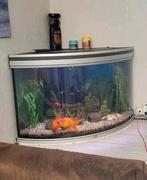 Aquarium 200 liter, Dieren en Toebehoren, Ophalen, Zo goed als nieuw