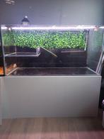 Schildpadaquarium met toebehoren, Animaux & Accessoires
