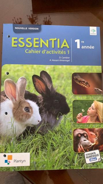 Essentia Cahier d’activités 1, Livres, Enlèvement, Comme neuf