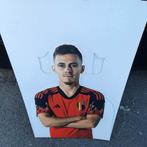 Karton ( levensgroot ) van Thorgan Hazard . 30 euro ., Ophalen of Verzenden