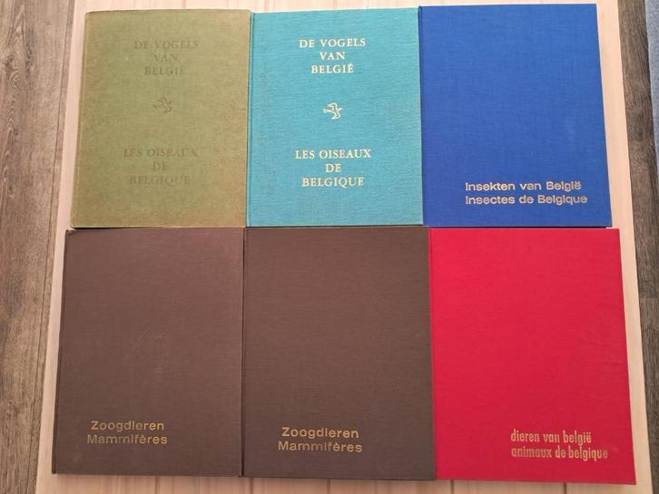 Zeldzame volledige reeks (6 boeken) Fort Itegem, Boeken, Prentenboeken en Plaatjesalbums, Zo goed als nieuw, Prentenboek, Ophalen of Verzenden