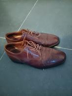 Tods 44, Ophalen of Verzenden