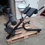 Matrix Magnum Hyper Lower Back Extension, Enlèvement, Comme neuf, Abdominaux