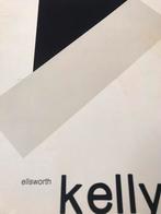 Ellsworth Kelly Peintures 90pag, Ophalen of Verzenden, Zo goed als nieuw, Schilder- en Tekenkunst