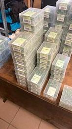 PFS schroeven, Ophalen of Verzenden, Nieuw